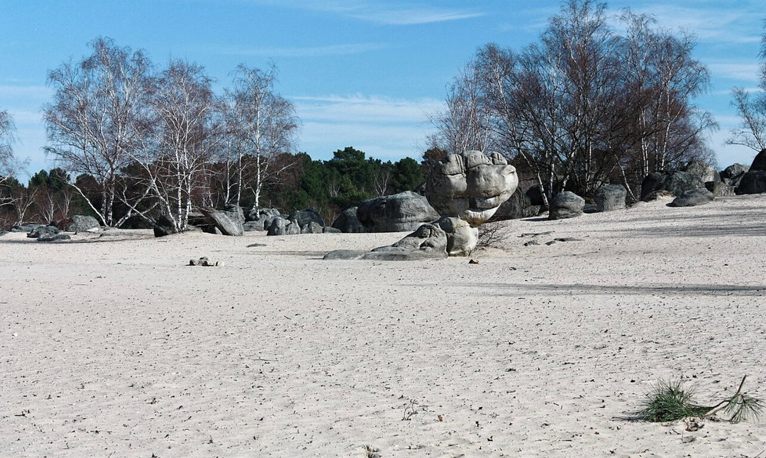 Que faire à fontainebleau ?