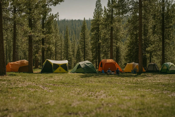 Tentes & Tarps