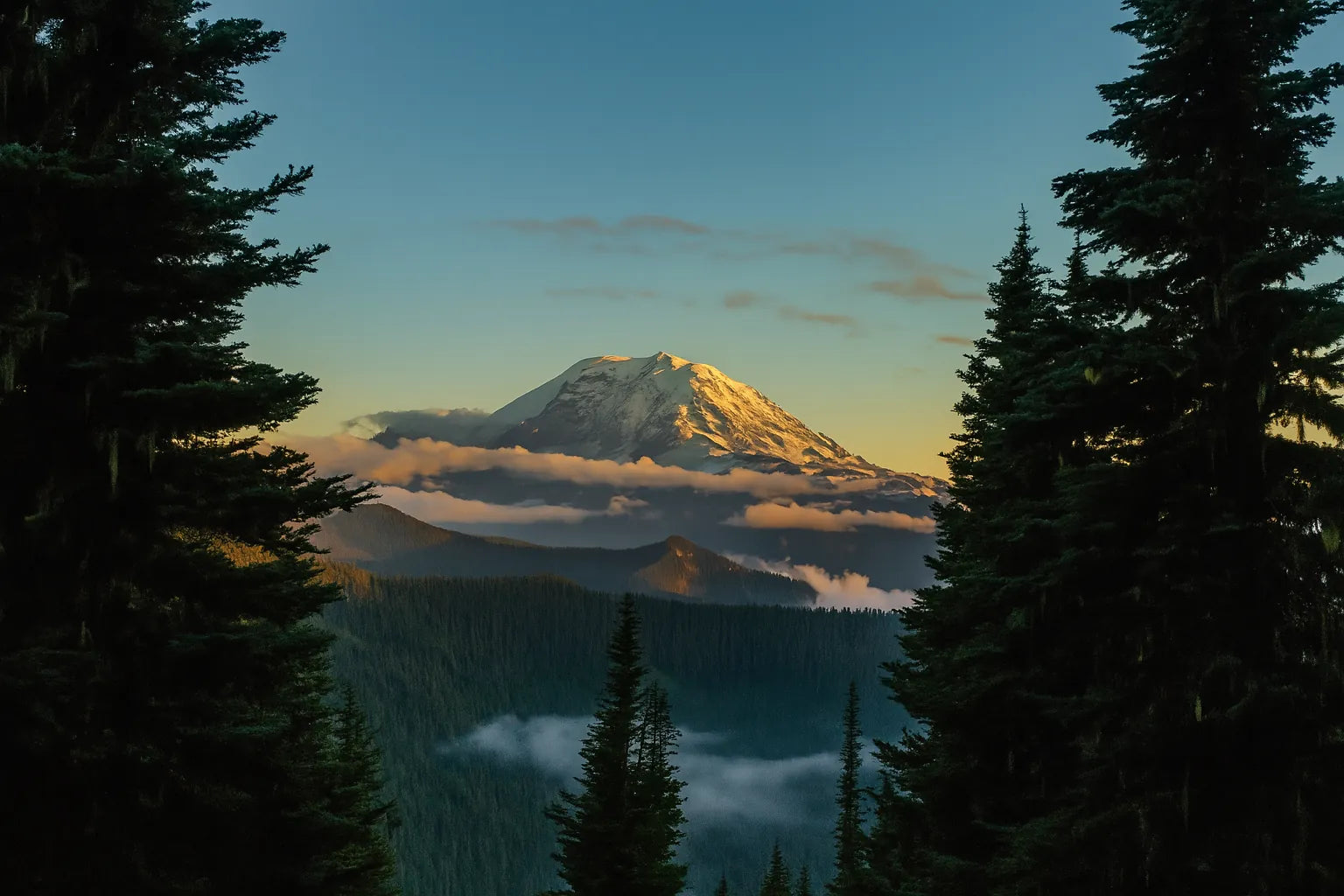Sommet enneigé illuminé par le coucher de soleil, encadré par des sapins en premier plan.