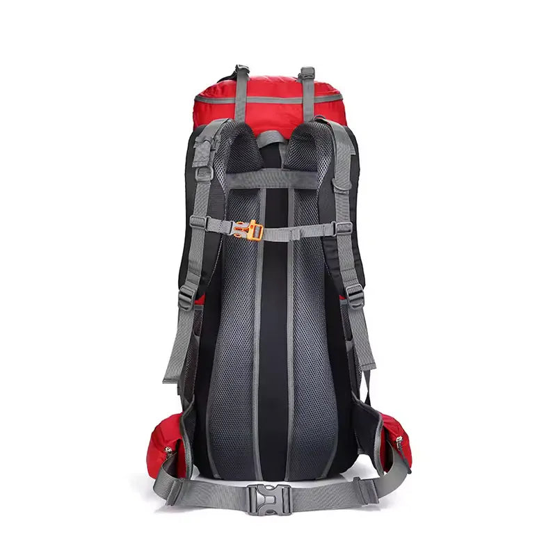 Vue arrière du sac à dos de randonnée rouge avec dos rembourré.
