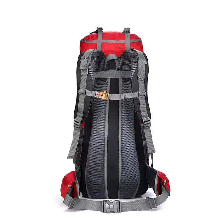 Vue arrière du sac à dos de randonnée rouge avec dos rembourré.