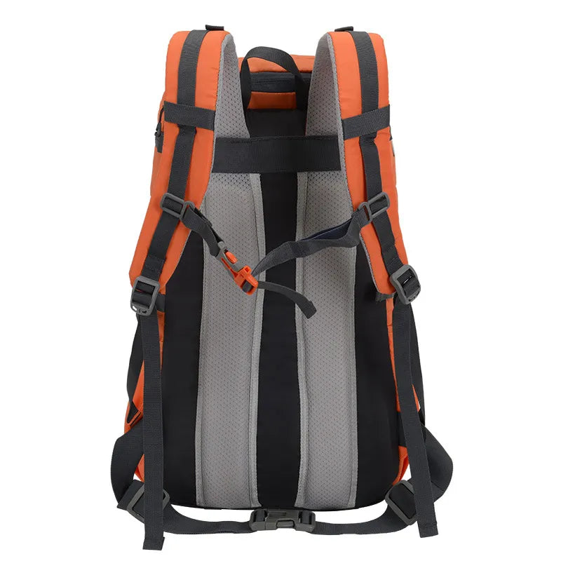 Vue arrière du sac de randonnée 50L orange avec bretelles ergonomiques