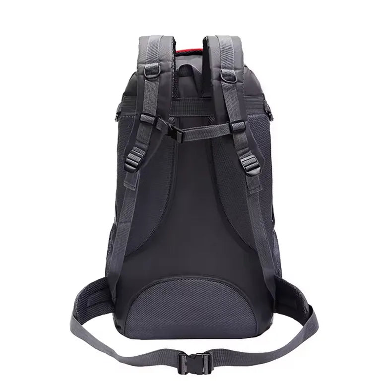Dos d’un sac de randonnée 60L avec bretelles renforcées.