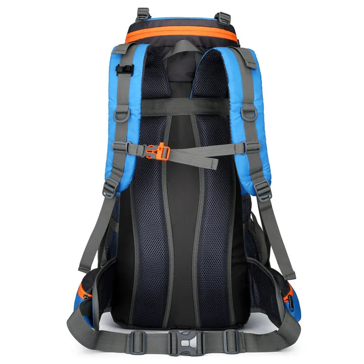 Sac à dos de randonnée 65 litres bleu vue de dos.