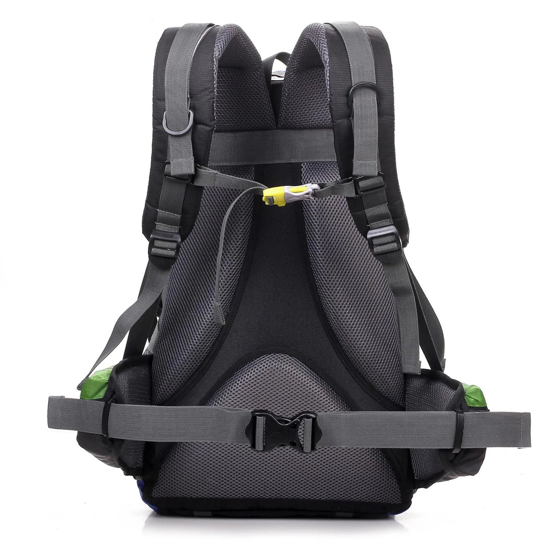 Vue arrière du sac à dos de randonnée vert et gris avec bretelles rembourrées, sangle sternale et panneau dorsal respirant pour un confort optimal en randonnée.